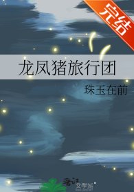 (历史同人)龙凤猪旅行团